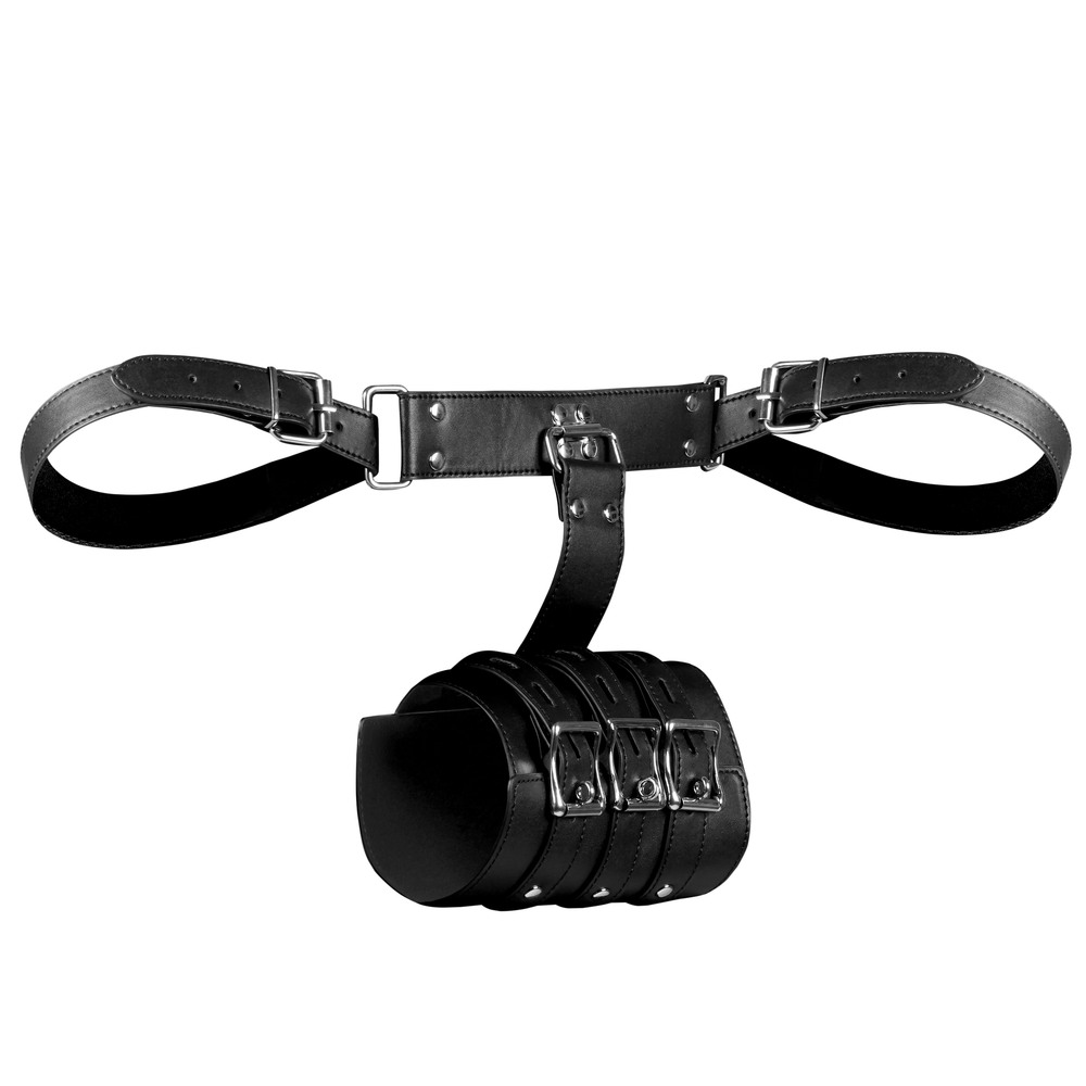 Complete Arm Restraints image 2