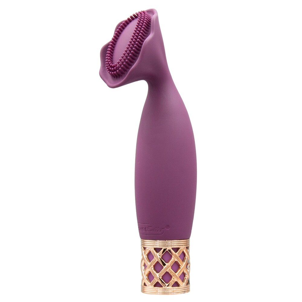 Pillow Talk Secrets Passion Mini Massager image 1