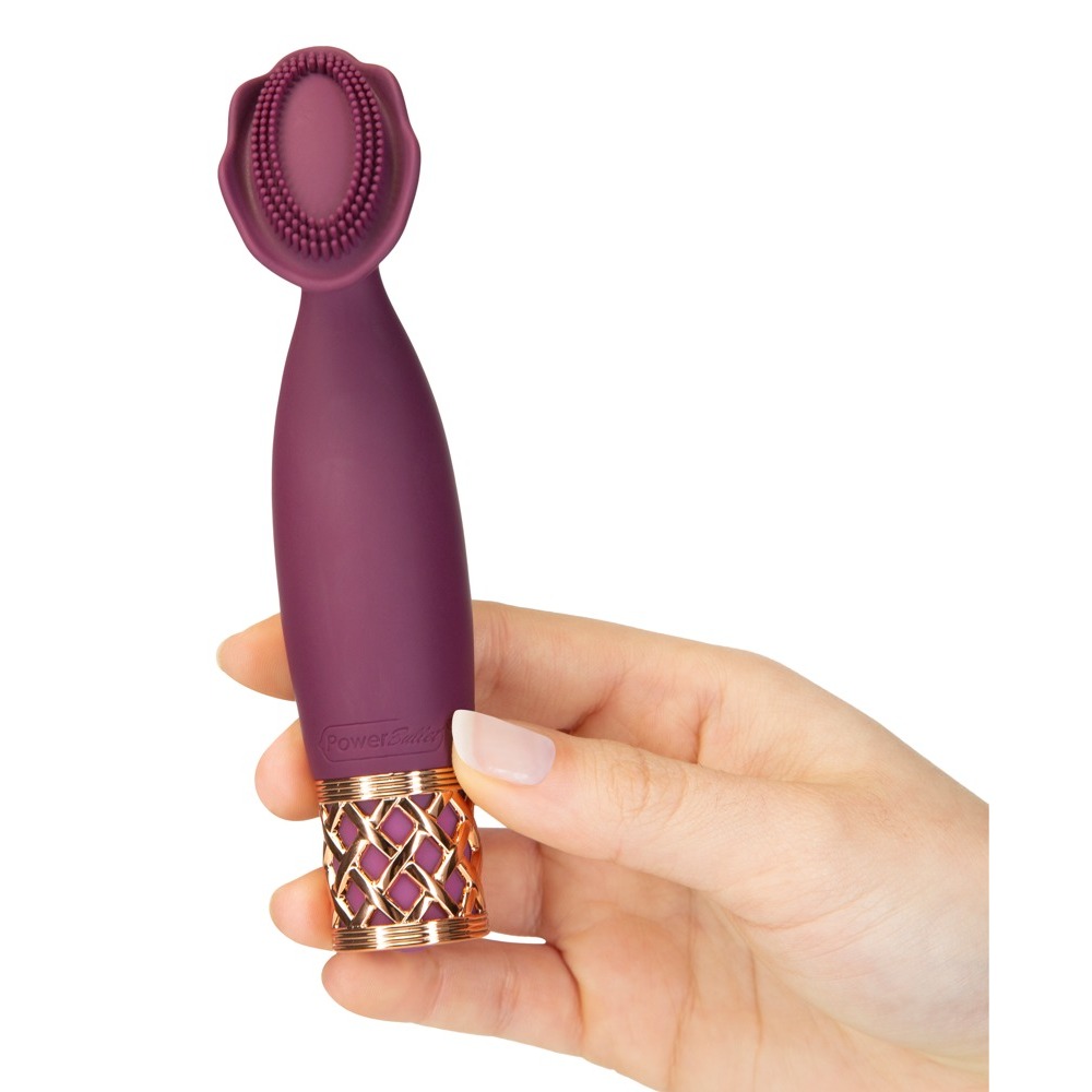 Pillow Talk Secrets Passion Mini Massager image 2