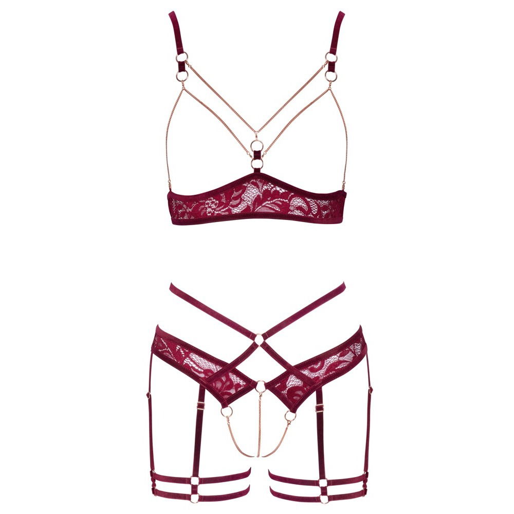 Abierta Fina Open Red Lace Set image 4