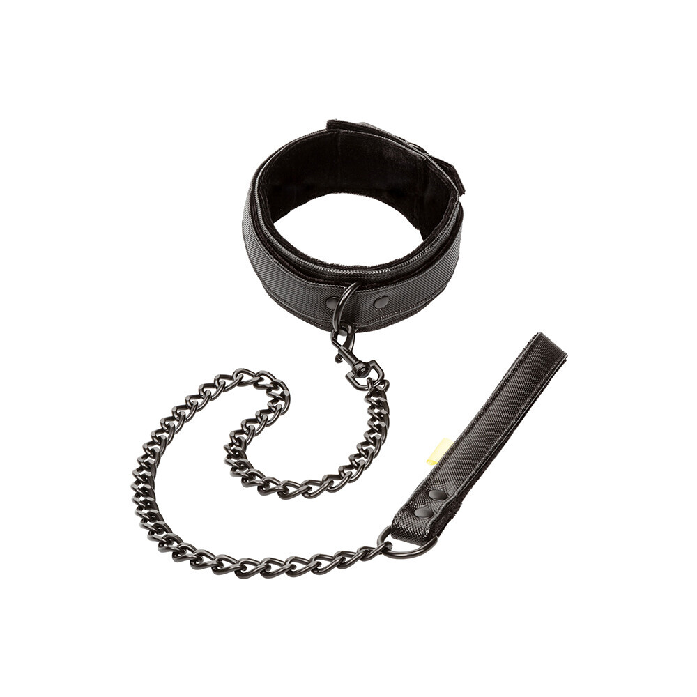 Boundless Collar and Leash image 1