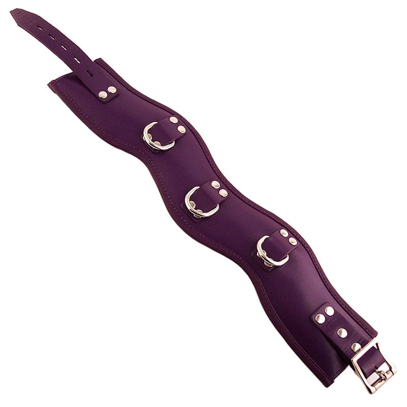 Rouge Garments Purple Padded Posture Collar image 1