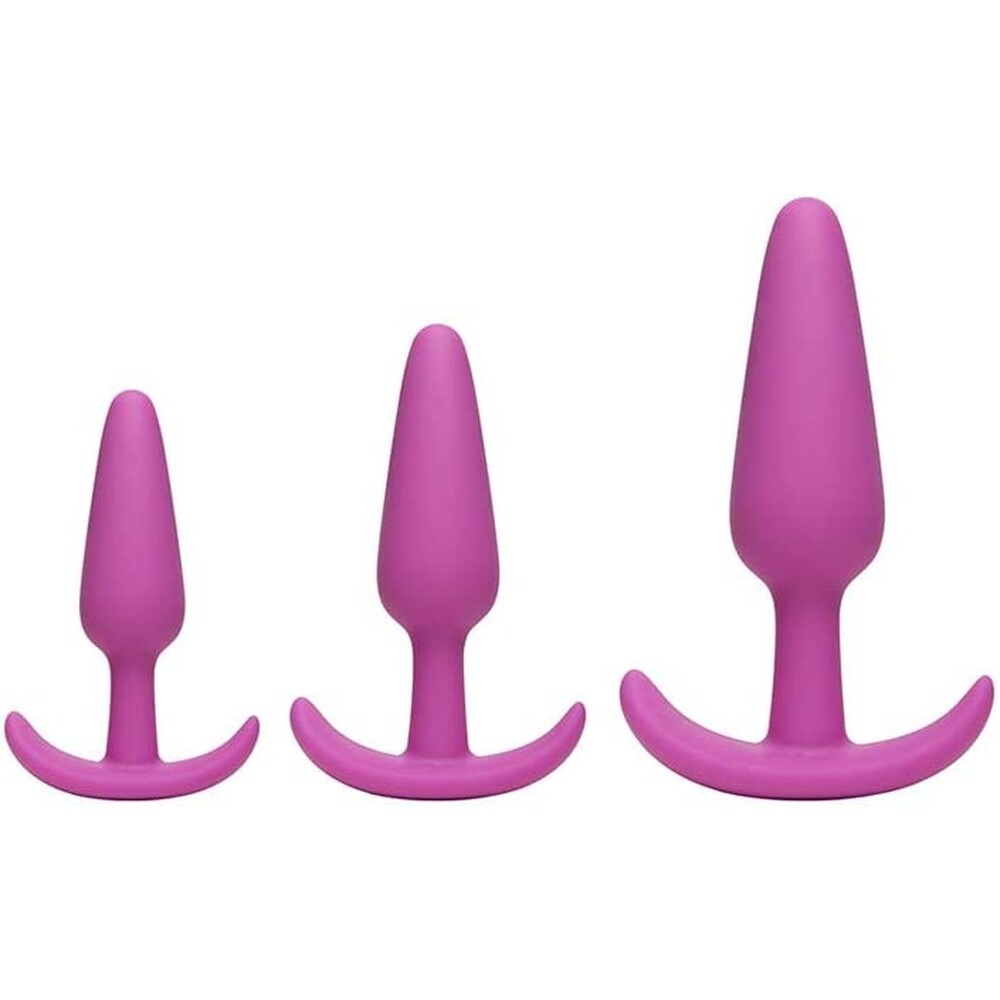 Mood Naughty 1 Butt Plug Trainer Set image 1