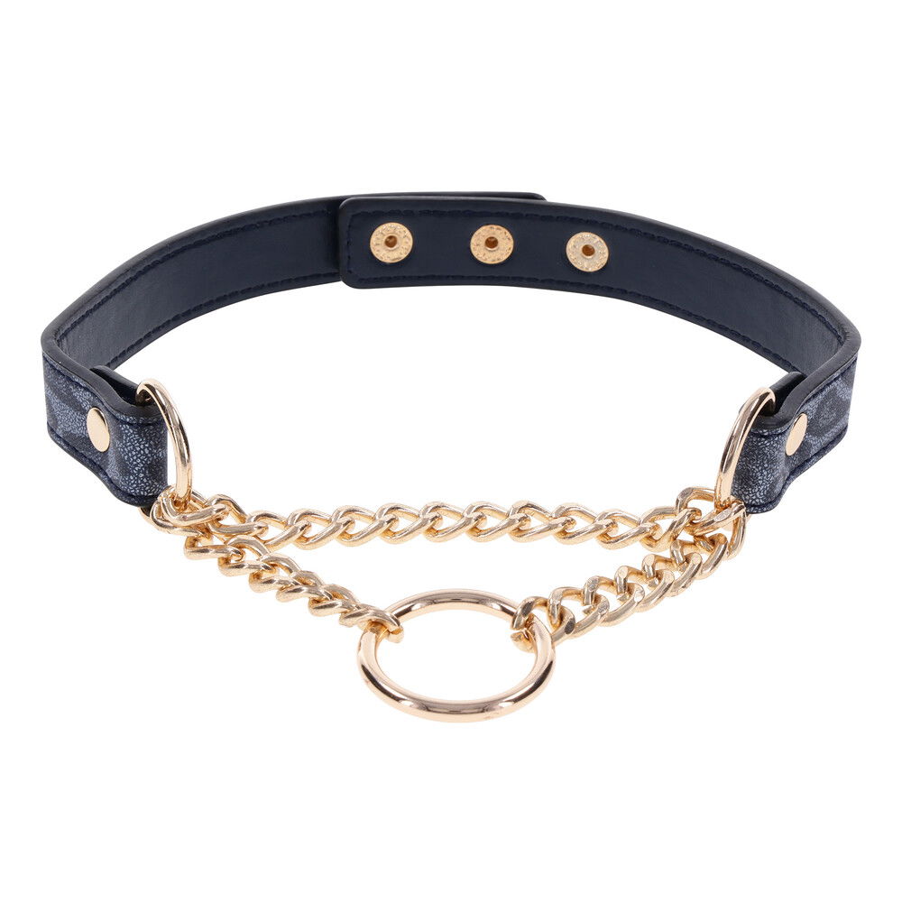 SportSheets Cougar Day Collar image 1