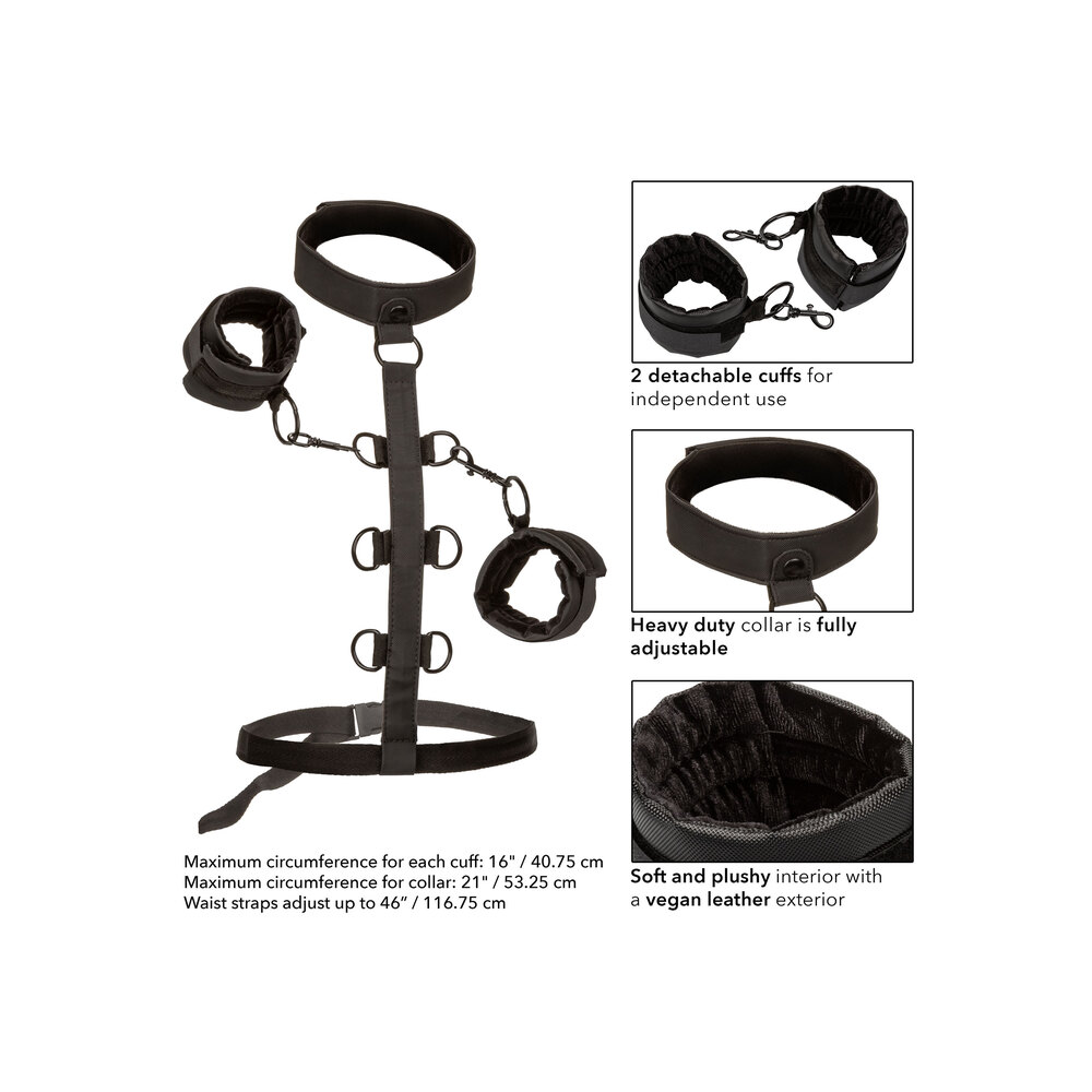 Boundless Collar Body Restraint image 3